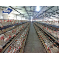 Prefab steel structure  chicken farm house Poultry shed Building sandwich panel wall  farm house